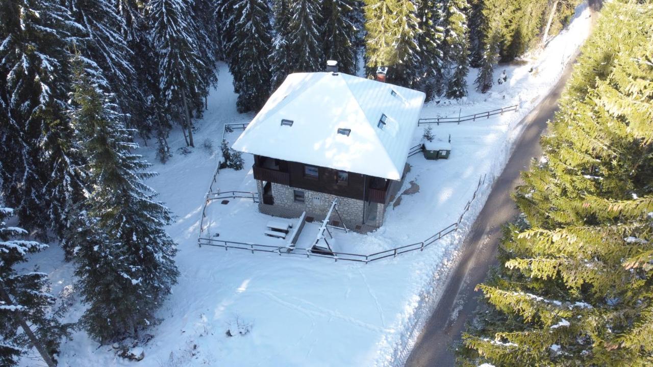 Apartments Villa Vesna Pokljuka Goreljek Εξωτερικό φωτογραφία